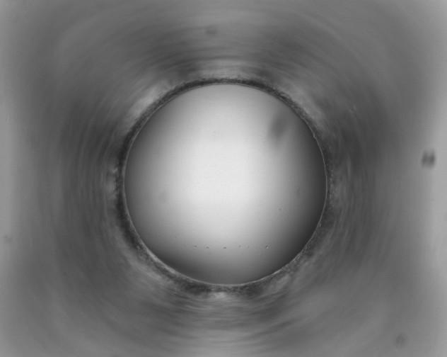 X0000090420111200707272119