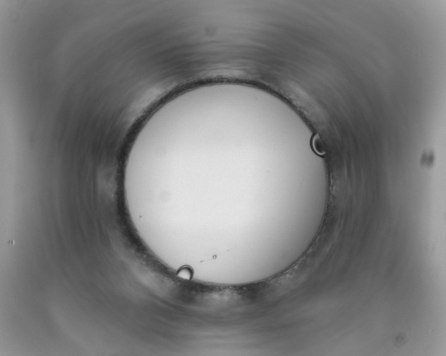 X0000090420112200707272119