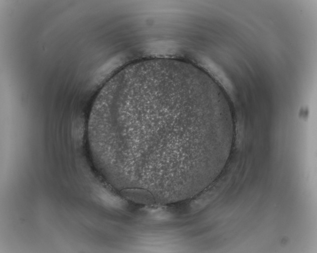 X0000090420113200707272119