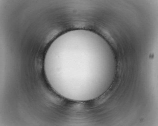 X0000090420116200707272119