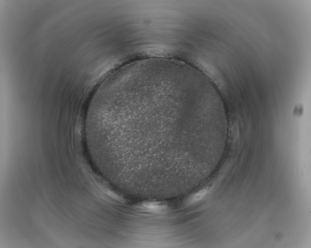 X0000090420117200707272118