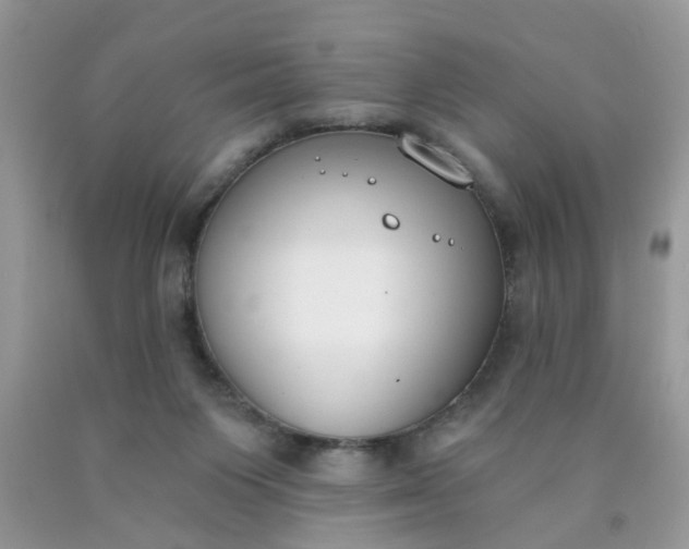 X0000090420119200707272118