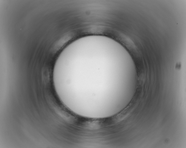 X0000090420120200707272118