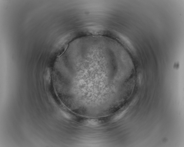 X0000090420121200707272118