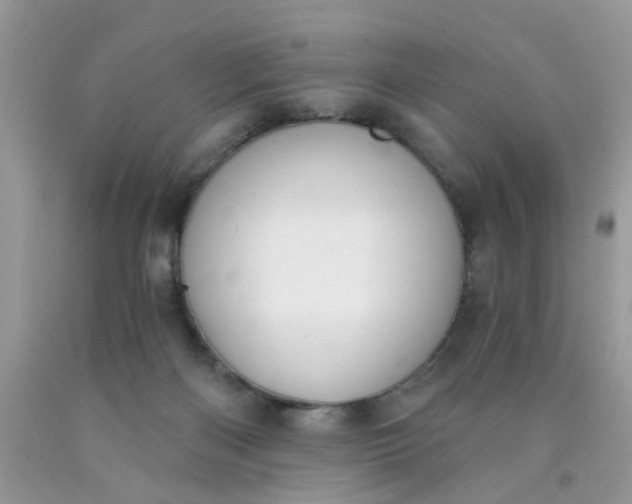 X0000090420122200707272118