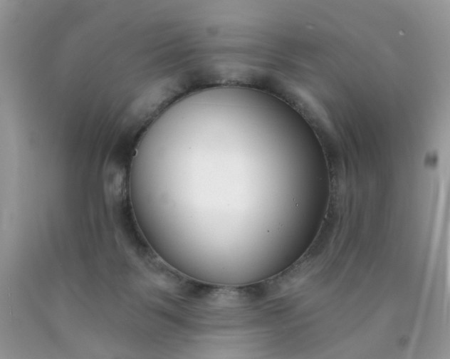 X0000090420123200707272118