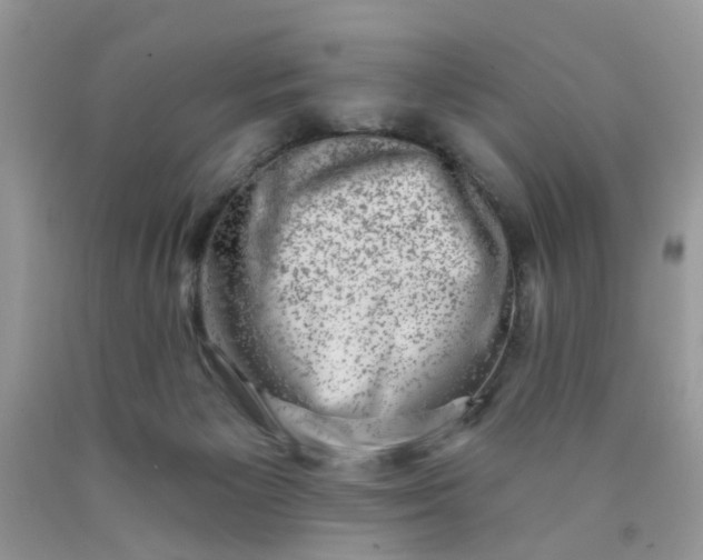 X0000090420125200707272118