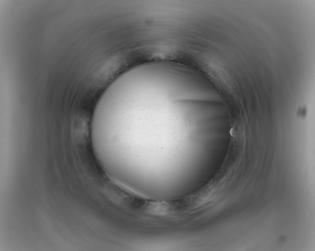 X0000090420127200707272118