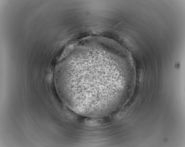 X0000090420129200707272118