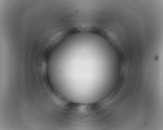 X0000090420130200707272118