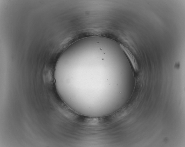 X0000090420131200707272118