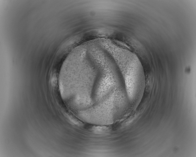 X0000090420137200707272118