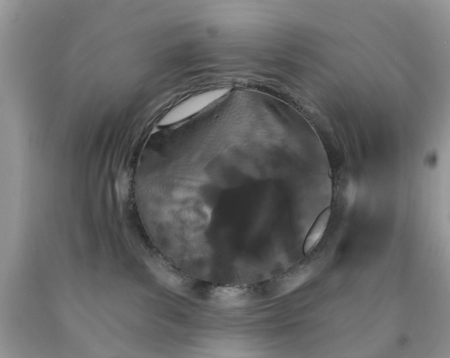 X0000090420139200707272118