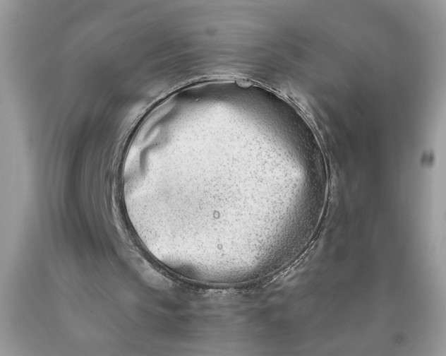 X0000090420145200707272118