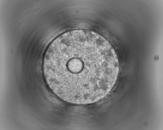 X0000090420146200707272118