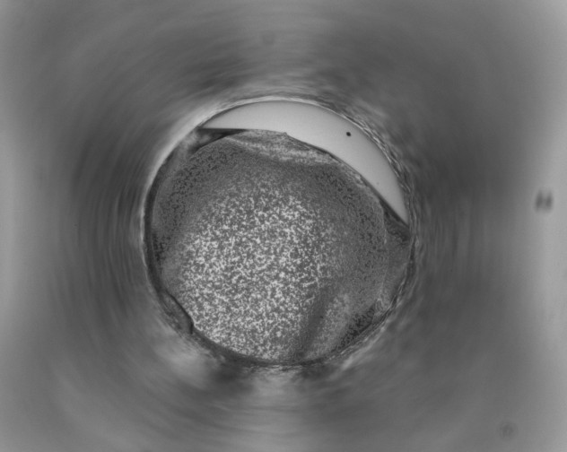 X0000090420148200707272118