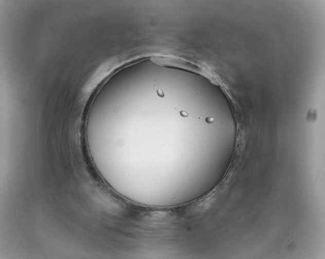 X0000090420151200707272118