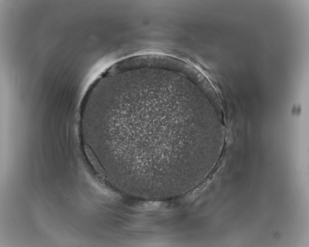 X0000090420152200707272118