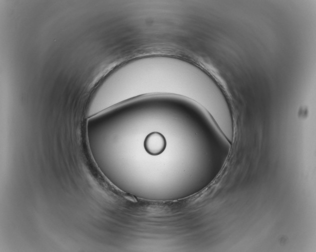 X0000090420154200707272118