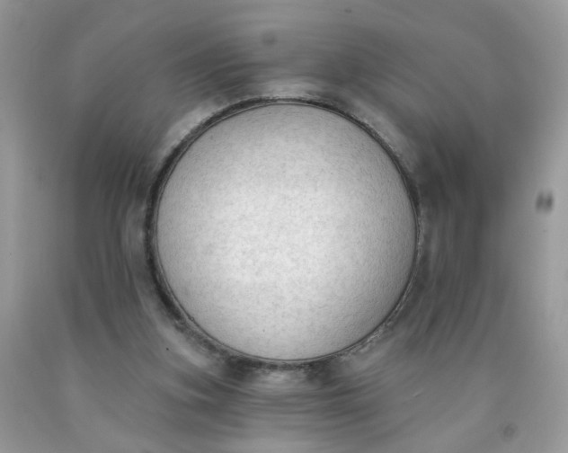 X0000090420155200707272118