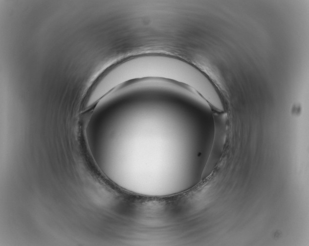 X0000090420156200707272118