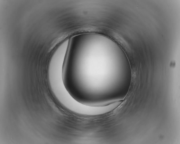 X0000090420158200707272118