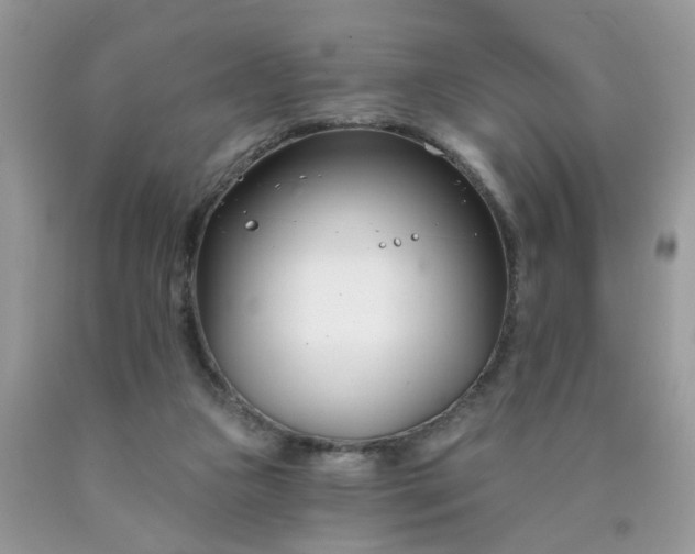 X0000090420161200707272118