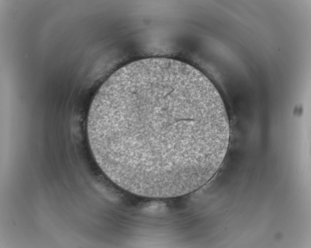 X0000090420162200707272118