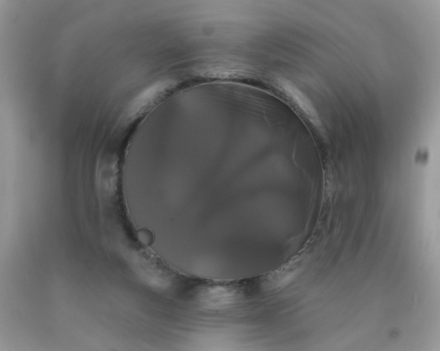 X0000090420163200707272118