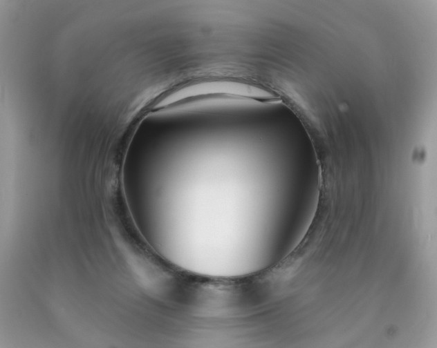 X0000090420164200707272118