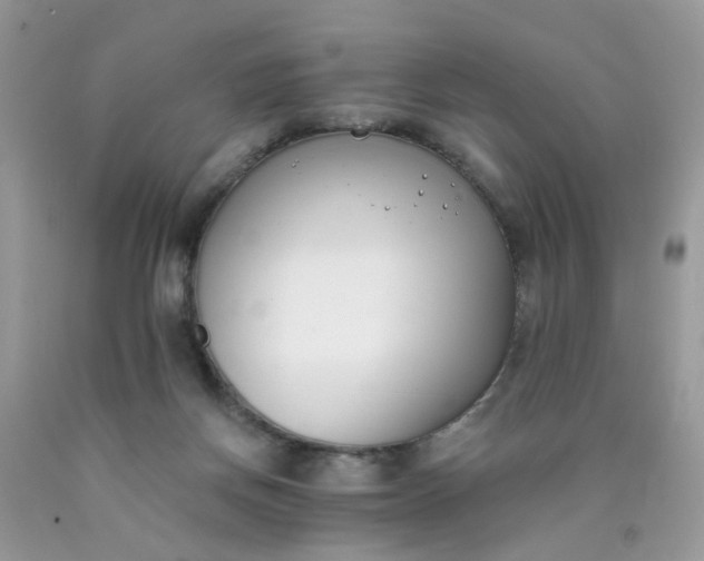 X0000090420166200707272118