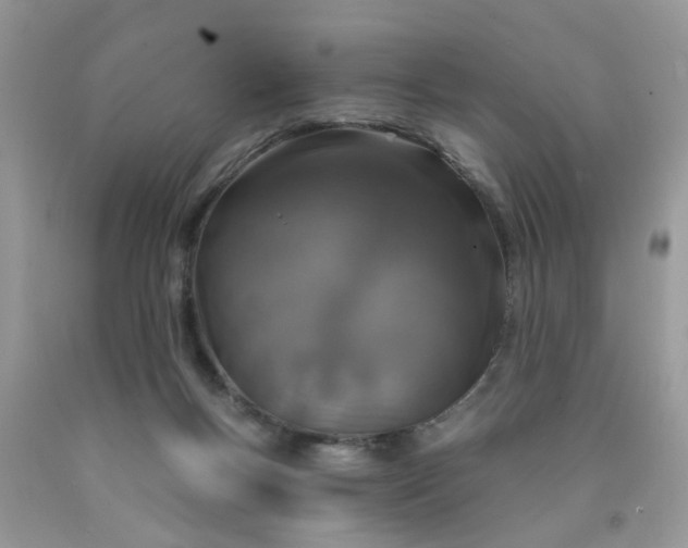 X0000090420167200707272118