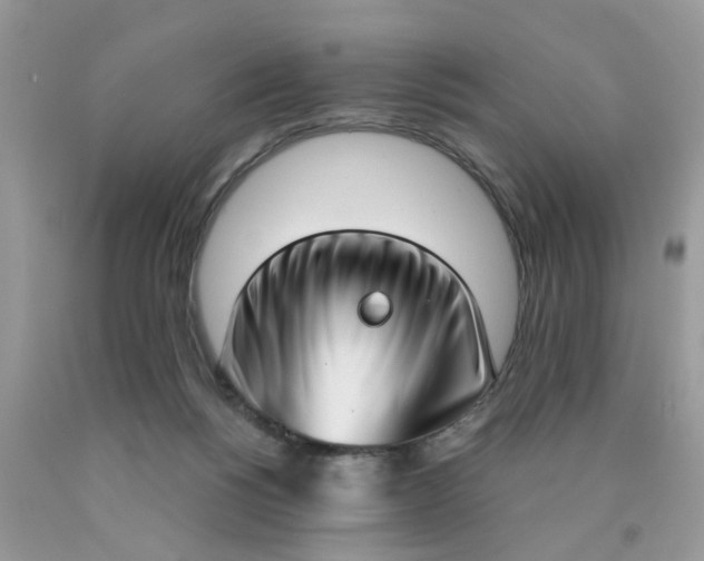 X0000090420168200707272118