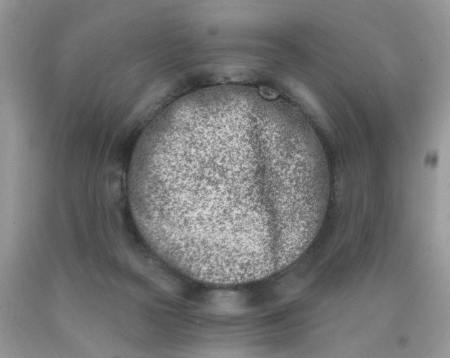 X0000090420169200707272118