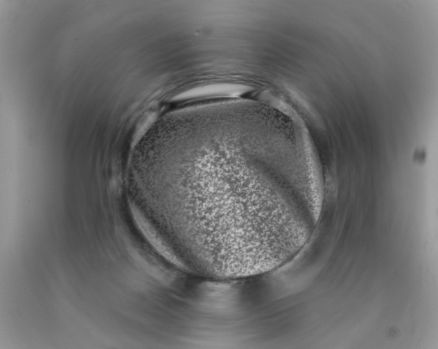 X0000090420170200707272118