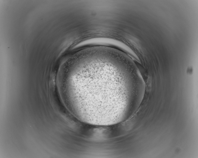 X0000090420172200707272118