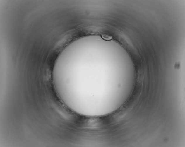 X0000090420173200707272118