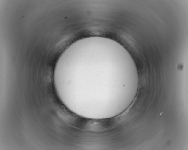 X0000090420174200707272118