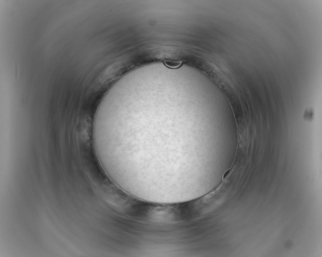 X0000090420175200707272118