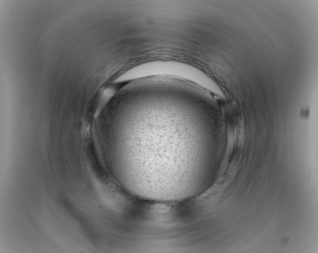 X0000090420176200707272118