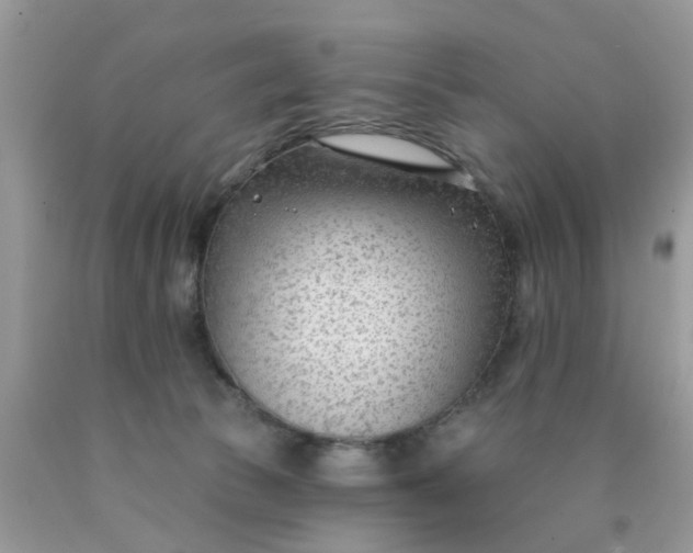 X0000090420177200707272118