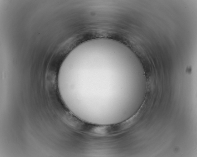 X0000090420178200707272118