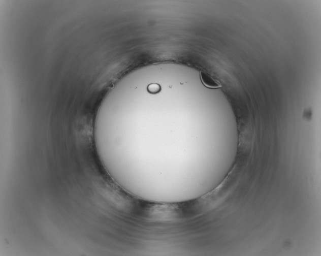 X0000090420179200707272118