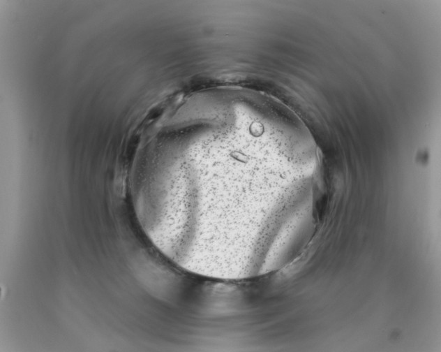 X0000090420180200707272118