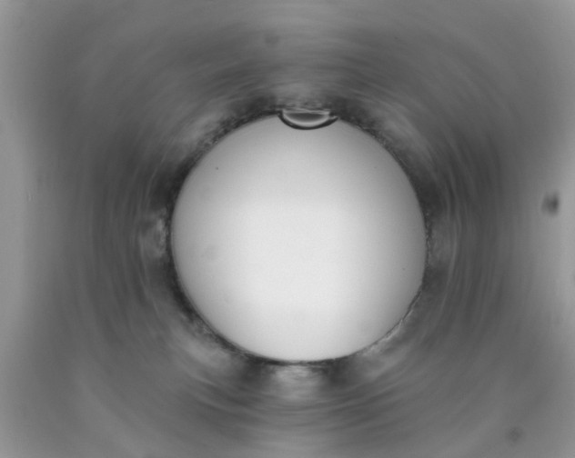 X0000090420183200707272118