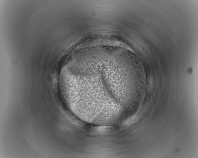 X0000090420184200707272118