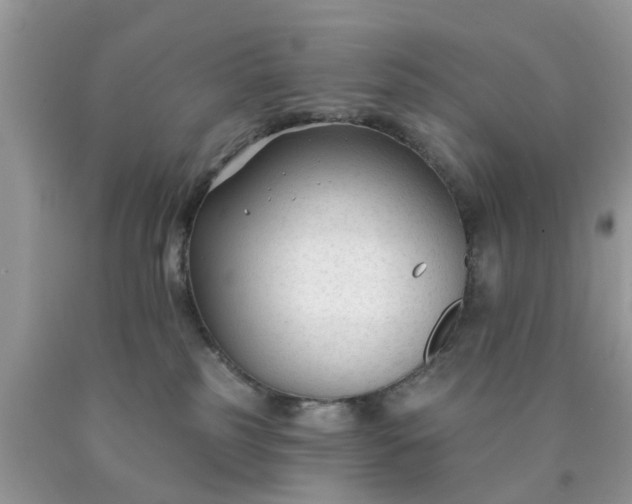 X0000090420185200707272118