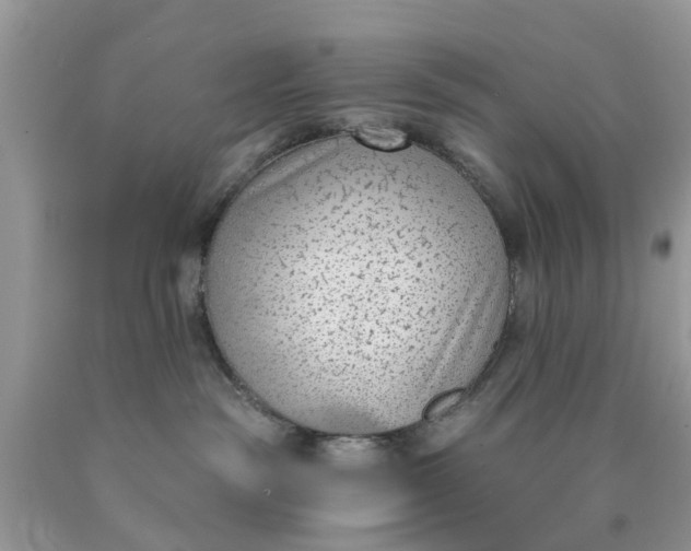 X0000090420189200707272118