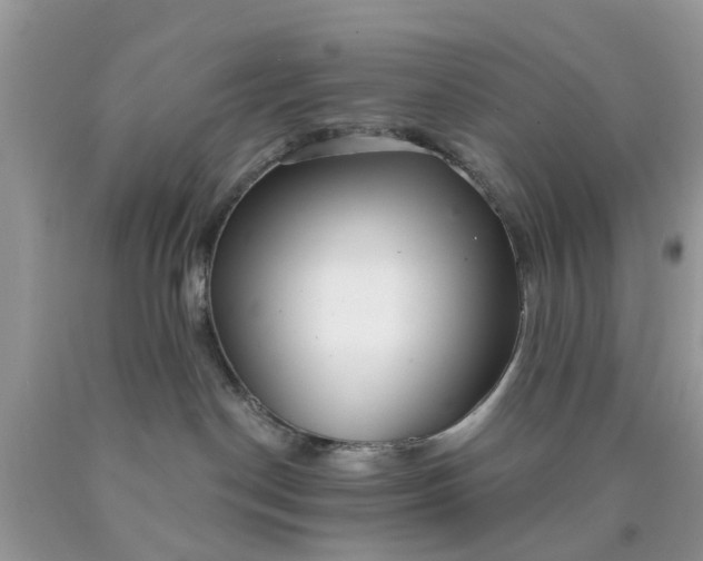 X0000090420190200707272118