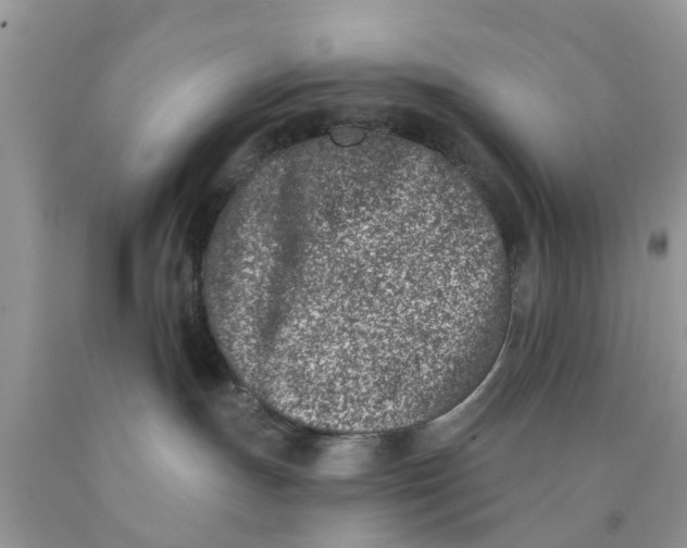 X0000090420191200707272118